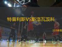 特普利斯VS斯洛瓦茨科