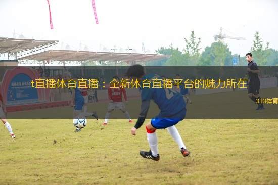 t直播體育直播：全新體育直播平臺的魅力所在