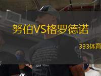 努伯VS格羅德諾