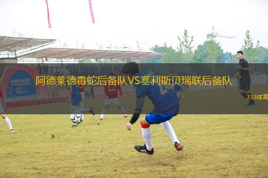阿德萊德毒蛇后備隊VS塞利斯貝瑞聯(lián)后備隊