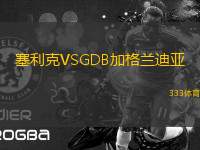 塞利克VSGDB加格蘭迪亞