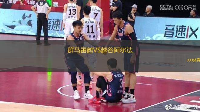 群馬雷鶴VS越谷阿爾法