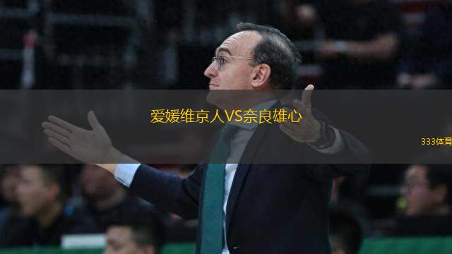 愛媛維京人VS奈良雄心