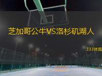 芝加哥公牛VS洛杉磯湖人