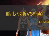 哈韋爾斯VS梅彭