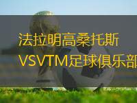 法拉明高桑托斯VSVTM足球俱樂(lè)部