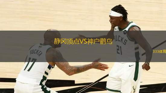 靜岡頂點VS神戶鸛鳥