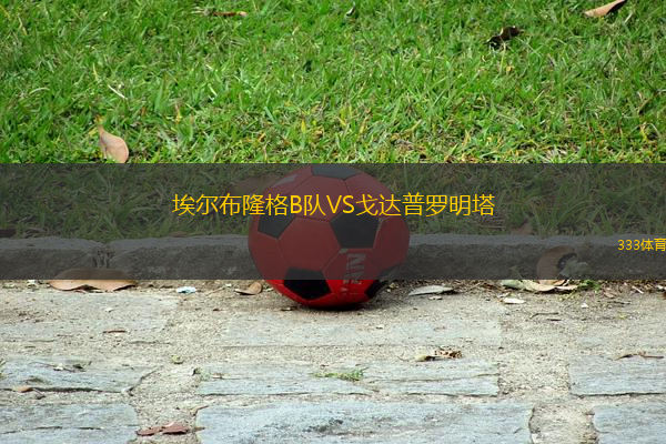 埃爾布隆格B隊(duì)VS戈達(dá)普羅明塔