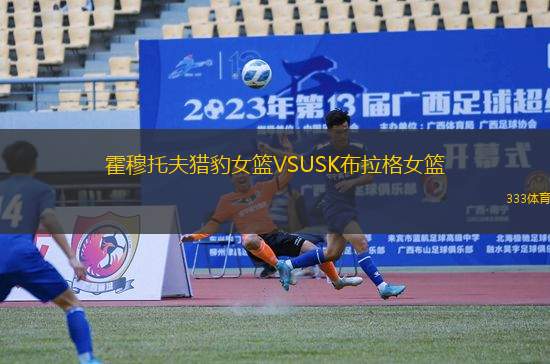 霍穆托夫獵豹女籃VSUSK布拉格女籃