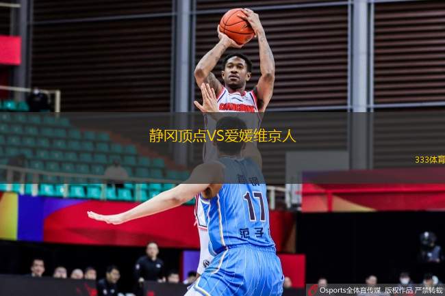 靜岡頂點VS愛媛維京人