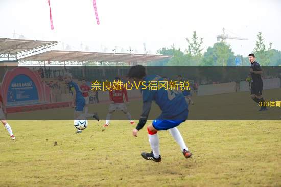 奈良雄心VS福岡新銳
