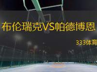 布倫瑞克VS帕德博恩