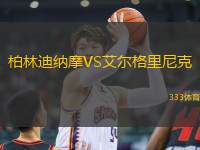 柏林迪納摩VS艾爾格里尼克