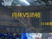 肖林VS湯頓