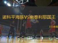 諾科平海豚VS南泰利耶國(guó)王
