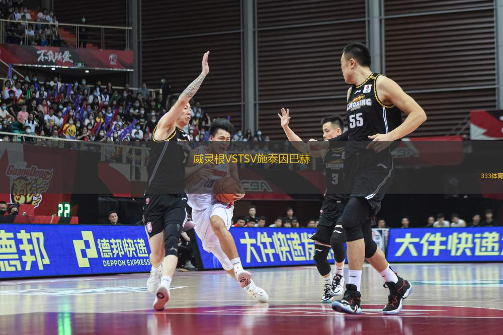 威靈根VSTSV施泰因巴赫