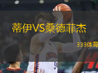 蒂伊VS桑德菲杰