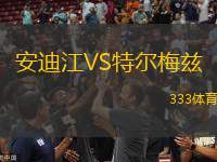 安迪江VS特爾梅茲