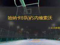 哈納卡B隊VS內(nèi)維索沃