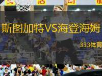 斯圖加特VS海登海姆