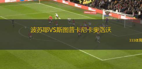 波多黎各沖浪SCVS陶里諾斯