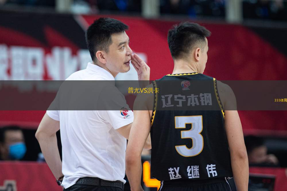 普尤VS洪卡