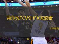 弗爾戈FCVSHFX流浪者