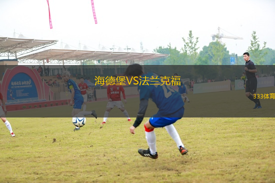 海德堡VS法蘭克福