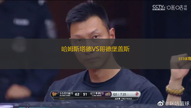 哈姆斯塔德VS哥德堡蓋斯