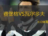費(fèi)堡格VS瓦爾多夫