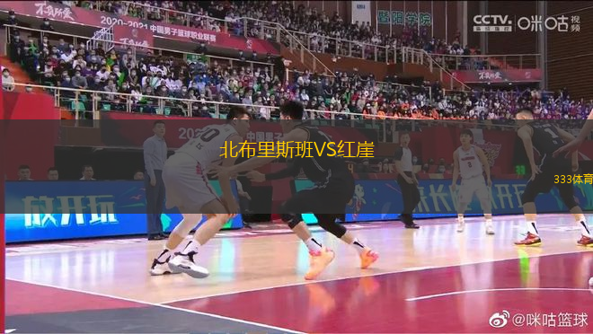 北布里斯班VS紅崖