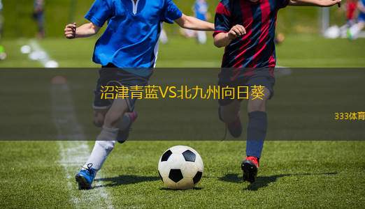 小石城流浪VS邁克堅尼卓柏卡布拉