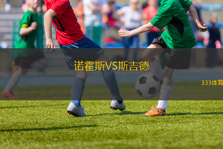 斯馬里VSIBU 電源