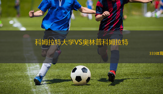 瓦爾吉尼亞VSEC米內(nèi)羅