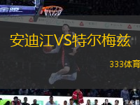 安迪江VS特爾梅茲
