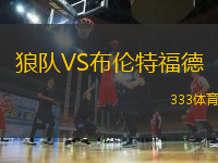 狼隊(duì)VS布倫特福德