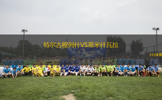 特爾古穆列什VS蒂米什瓦拉