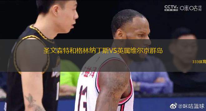 圣文森特和格林納丁斯VS英屬維爾京群島