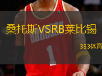 桑托斯VSRB萊比錫