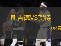 斯吉德VS賀特