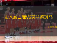 史賓威白鷹VS莫蘭德斑馬
