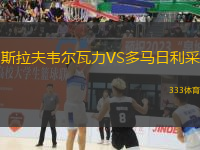 斯拉夫韋爾瓦力VS多馬日利采