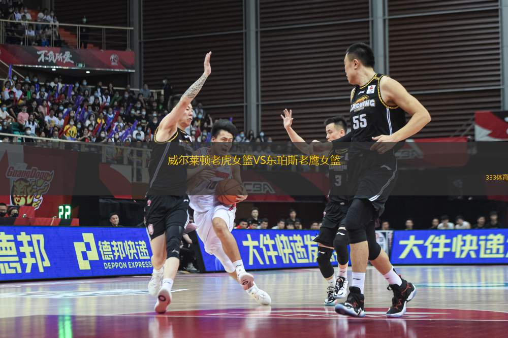 威爾萊頓老虎女籃VS東珀斯老鷹女籃