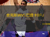 舍克斯納VS巴提卡BFU