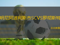 明尼阿波利斯市SCVS羅徹斯特