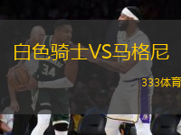 白色騎士VS馬格尼