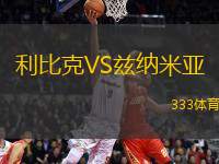 利比克VS茲納米亞