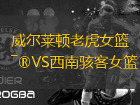 威爾萊頓老虎女籃VS西南駭客女籃