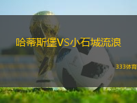 哈蒂斯堡VS小石城流浪