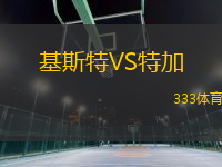 基斯特VS特加
